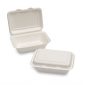 green-planet-bagasse-lunch-box-232x155x78mm-9x6-white-box-of-250-p60937-64958_image